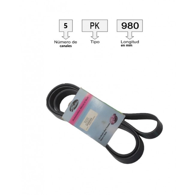 5PK1260 CORREA UNIVERSAL ACANALADA  5PK1260