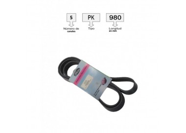5PK1260 CORREA UNIVERSAL ACANALADA  5PK1260