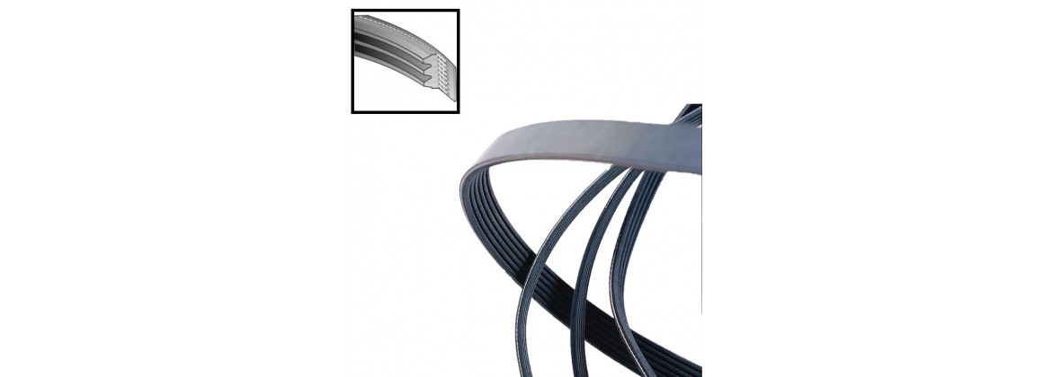 CORREAS 3PK-4PK-5PK-6PK-7PK